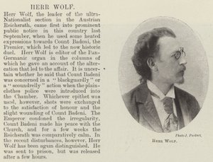 hr. Wolf af English Photographer