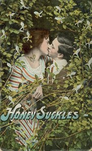 Geißblatt von English Photographer