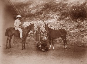 Heste hos Simla, Queen Mab og Gladys af English Photographer