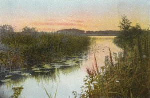 Hoveton Broad af English Photographer