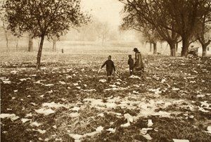 Affaldsstrøet græs på Hampstead Heath dagen efter en helligdag, fra Wonderful London, udgivet 1926-27 (fotogravure) af English Photographer