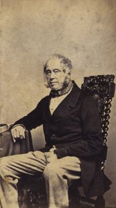 Lord Palmerston af English Photographer