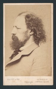 Lord Tennyson, visitkort af English Photographer