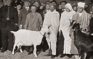 Mahatma Gandhi ankommer til London, England i 1931 med sin discipel, Madeleine Slade, og hans to geder, fra The Story of Twenty Five Years, udgivet 1935 af English Photographer