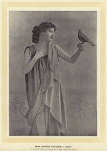 Miss Connie Collier: en undersøgelse