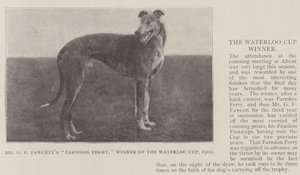 Mr GF Fawcetts Farndon Ferry, vinder af Waterloo Cup, 1902 af English Photographer
