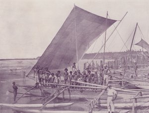 Indfødte fiskerbåde, Ceylon af English Photographer
