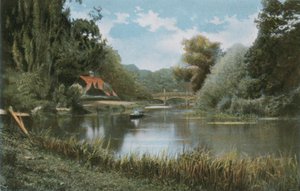 Nuneham Cottages af English Photographer