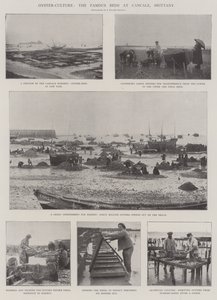 Oyster-Culture, de berømte senge i Cancale, Bretagne af English Photographer