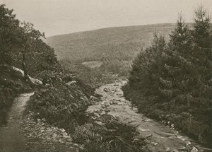 Sti ved Bagworthy Water, Doone Valley af English Photographer