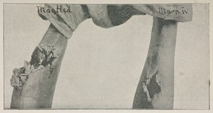 Foto fra essayet 