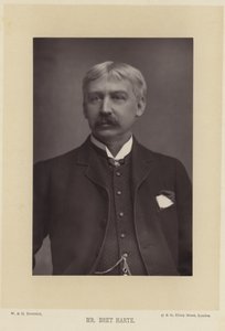 Portræt af Bret Harte af English Photographer