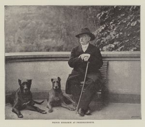 Prins Bismarck i Friedrichsruh af English Photographer