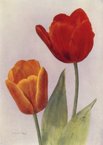 Prinsen af Østrig og Fred Moore (farvefoto) af English Photographer