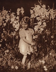 Prinsesse Elizabeth i haven af English Photographer