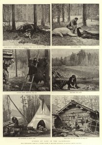 Livets scener i Backwoods af English Photographer