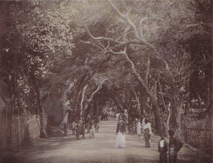 Skinners Road, Colombo (farvet foto) af English Photographer