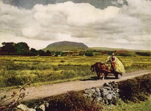 Slemish, County Antrim (farvefoto) af English Photographer