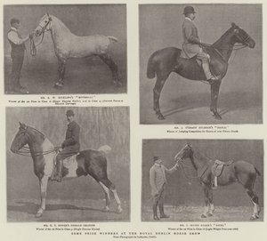 Nogle prisvindere ved Royal Dublin Horse Show af English Photographer