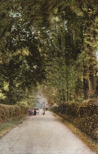Spencer Road, Ryde af English Photographer