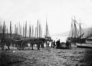 St Ives havn ser mod Carbis Bay, ca. 1880-99 af English Photographer