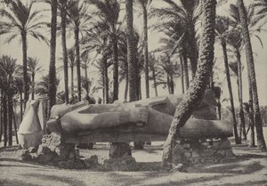 Statue af Ramses II, liggende i byen, som Jeremias sagde, skulle være uden indbygger af English Photographer