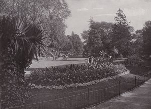 Sub-tropiske haver, Battersea Park af English Photographer