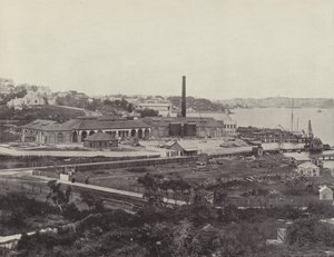 Sunlight Soap Companys Works, nær Sydney af English Photographer