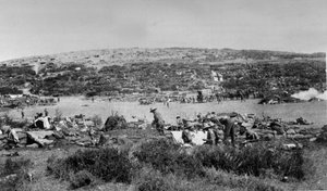 Suvla-bugten, Gallipoli ved Chocolate Hill, ca. 1915 af English Photographer