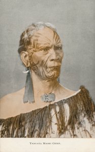 Tangata Maori-høvding (foto) af English Photographer