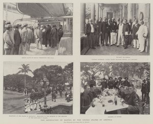 Annekseringen af Hawaii af USA