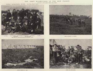 Hærens manøvrer i New Forest