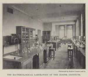 Jenner Instituttets bakteriologiske laboratorium af English Photographer