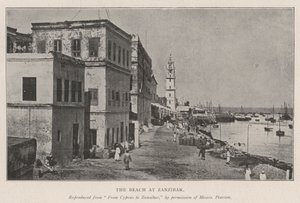 Stranden på Zanzibar af English Photographer