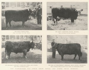 Birmingham Fat Stock Show, Royal og andre prisvindere
