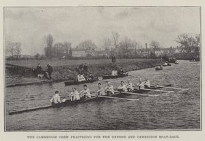 Cambridge-besætningen øver sig til Oxford og Cambridge Boat-Race af English Photographer