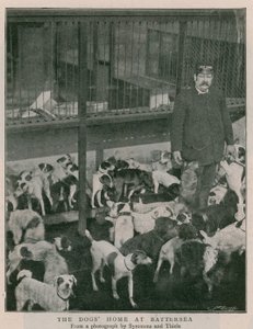 Hundehjemmet ved Battersea af English Photographer