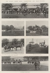 Dublin Horse Show, konkurrenter og prisvindere