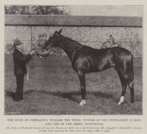 Hertugen af Portlands William den tredje, vinder af Newmarket Stakes og en af Derby-favoritterne af English Photographer