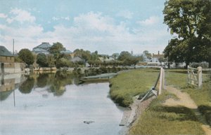 Elms og Themsen ved Abingdon af English Photographer