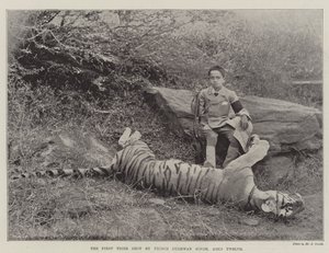 Den første tiger skudt af prins Bughwan Singh, tolv år gammel af English Photographer