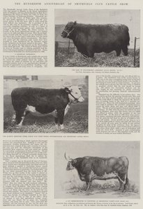Hundredårsdagen for Smithfield Club Cattle Show
