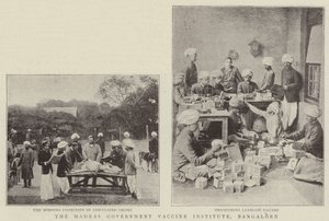 Madras Government Vaccine Institute, Bangalore af English Photographer