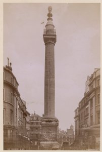 Monumentet, London af English Photographer