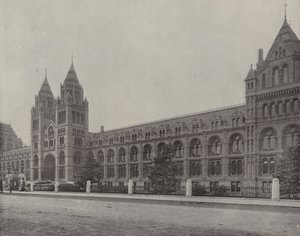 Det naturhistoriske museum (s/h-foto) af English Photographer