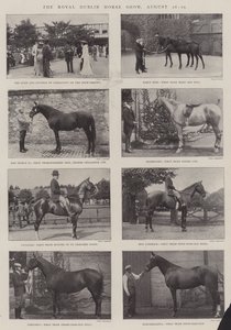 The Royal Dublin Horse Show, 26.-29. august af English Photographer