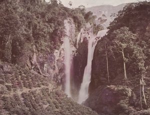 The Twin Falls (kaffe vokser i forgrunden), Ceylon (farvet foto) af English Photographer