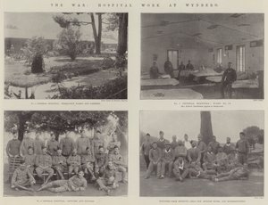 The War, Hospital Work at Wynberg