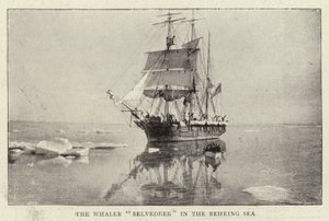 Hvalfangeren Belvedere i Beringhavet af English Photographer
