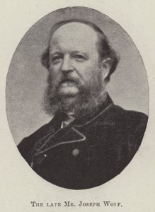 Den afdøde hr. Joseph Wolf af English Photographer